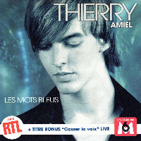 Thierry Amiel - Les Mots Bleus