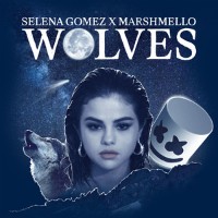 Selena Gomez and Marshmello - Wolves