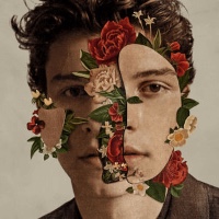 Shawn Mendes - Queen