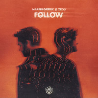 Martin Garrix and Zedd - Follow