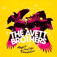 The Avett Brothers - In The Curve