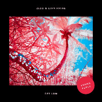 Zedd and Liam Payne  - remixed by KUURO - Get Low [KUURO Remix]