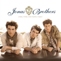 Jonas Brothers feat. Miley Cyrus - Before the Storm