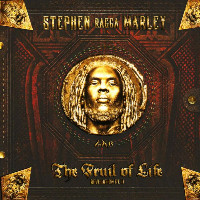 Stephen Marley feat. DJ Khaled, Waka Flocka and Iggy Azalea - Tonight (It's A Party)