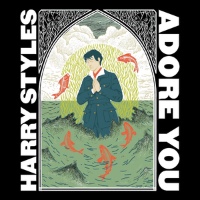Harry Styles - Adore You