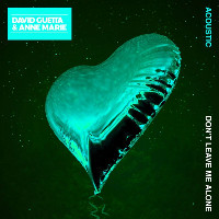 David Guetta feat. Anne-Marie - Don't Leave Me Alone [Acoustic]