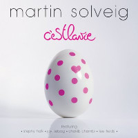 Martin Solveig - Bottom Line