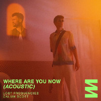 Lost Frequencies feat. Calum Scott - Where Are You Now [Acoustic]