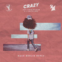 Lost Frequencies and Zonderling  - remixed by Dash Berlin - Crazy [Dash Berlin Remix]