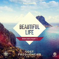 Lost Frequencies feat. Sandro Cavazza  - remixed by Erick Morillo - Beautiful Life [Erick Morillo Remix]