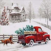 Anne Murray - White Christmas