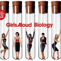 Girls Aloud - Biology [Tony Lamezma Remix]