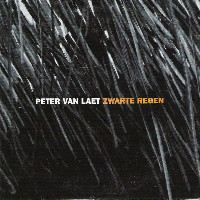 Peter Vanlaet - Zwarte Regen