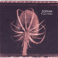 Sophia - Is It Any Wonder