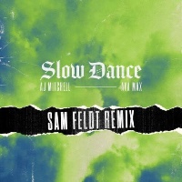 AJ Mitchell feat. Ava Max  - remixed by Sam Feldt - Slow Dance [Sam Feldt Remix]