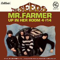 The Seeds - Mr. Farmer