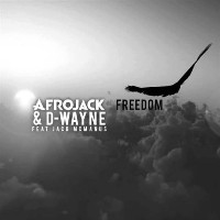 Afrojack and D-Wayne feat. Jack McManus - Freedom