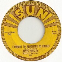 Bob Dylan and The Band - I Forgot To Remember To Forget